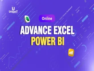 Advance Excel & Power BI Online